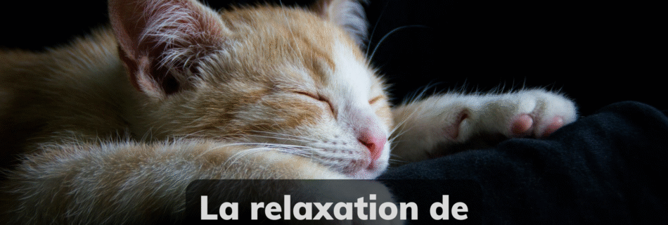 Chat relaxation Jacobson