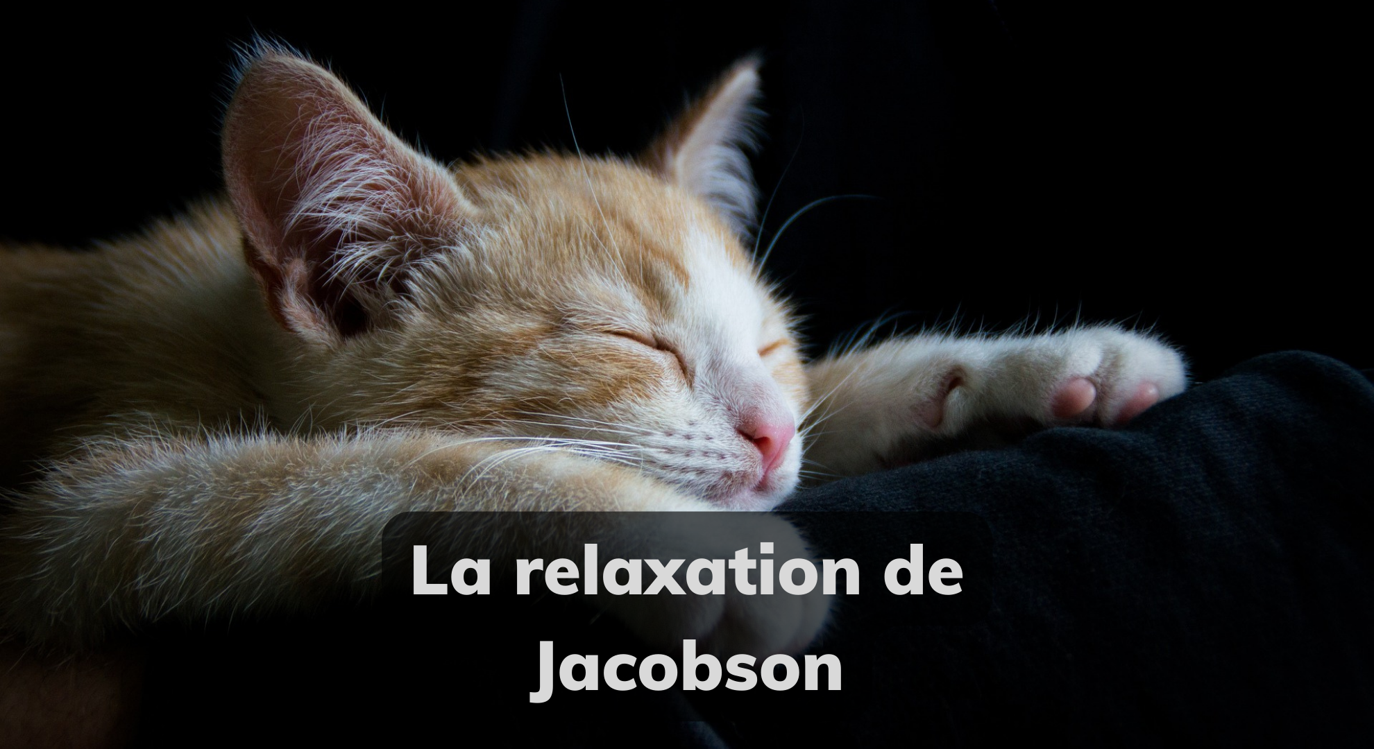 Chat relaxation Jacobson